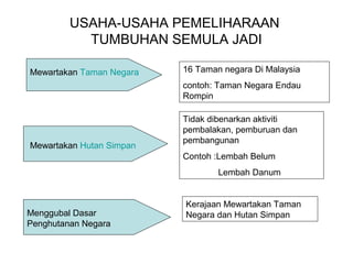 Pengajaran rumusan (keracunan makanan)
