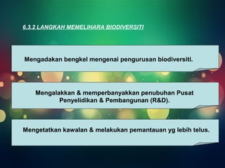 6.3.2 LANGKAH MEMELIHARA BIODIVERSITI 
Mengadakan bengkel mengenai pengurusan biodiversiti. 
Mengalakkan & memperbanyakkan penubuhan Pusat 
Penyelidikan & Pembangunan (R&D). 
Mengetatkan kawalan & melakukan pemantauan yg lebih telus. 
 