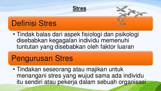 jenis pengeluaran pengajian perniagaan
