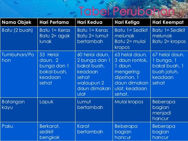 Contoh Biotik  Dan Abiotik Di Lingkungan Rumah Barisan Contoh