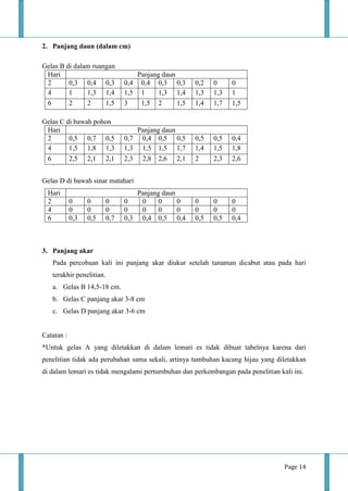 Page 14
2. Panjang daun (dalam cm)
Gelas B di dalam ruangan
Hari Panjang daun
2 0,3 0,4 0,3 0,4 0,4 0,3 0,3 0,2 0 0
4 1 1,3 1,4 1,5 1 1,3 1,4 1,3 1,3 1
6 2 2 1,5 3 1,5 2 1,5 1,4 1,7 1,5
Gelas C di bawah pohon
Hari Panjang daun
2 0,5 0,7 0,5 0,7 0,4 0,5 0,5 0,5 0,5 0,4
4 1,5 1,8 1,3 1,3 1,5 1,5 1,7 1,4 1,5 1,8
6 2,5 2,1 2,1 2,3 2,8 2,6 2,1 2 2,3 2,6
Gelas D di bawah sinar matahari
Hari Panjang daun
2 0 0 0 0 0 0 0 0 0 0
4 0 0 0 0 0 0 0 0 0 0
6 0,3 0,5 0,7 0,3 0,4 0,5 0,4 0,5 0,5 0,4
3. Panjang akar
Pada percobaan kali ini panjang akar diukur setelah tanaman dicabut atau pada hari
terakhir penelitian.
a. Gelas B 14,5-18 cm.
b. Gelas C panjang akar 3-8 cm
c. Gelas D panjang akar 3-6 cm
Catatan :
*Untuk gelas A yang diletakkan di dalam lemari es tidak dibuat tabelnya karena dari
penelitian tidak ada perubahan sama sekali, artinya tumbuhan kacang hijau yang diletakkan
di dalam lemari es tidak mengalami pertumbuhan dan perkembangan pada penelitian kali ini.
 