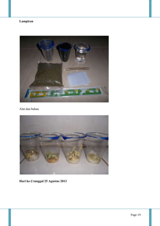 Page 19
Lampiran
Alat dan bahan
Hari ke-2 tanggal 25 Agustus 2013
 
