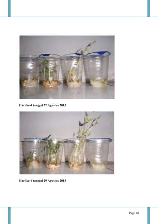 Page 20
Hari ke-4 tanggal 27 Agustus 2013
Hari ke-6 tanggal 29 Agustus 2013
 