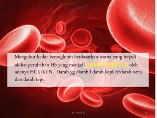 Mengukur kadar hemoglobin berdasarkan warna yang terjadi
akibat perubahan Hb yang menjadi asam hematin oleh
adanya HCL 0,1 N. Darah yg diambil darah kapiler/darah vena
dan darah tepi.
18
By. Triana SP
 