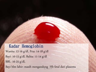 Kadar Hemoglobin
Wanita: 12-16 g/dl, Pria: 14-18 g/dl
Bayi: 10-15 g/dl, Balita: 11-14 g/dl
BBL: 16-25 g/dl,
Bayi blm lahir: masih mengandung Hb fetal dari plasenta 22
By. Triana SP
 