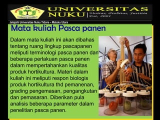 Jelajahi Universitas Nuku Tidore – Maluku Utara
Mata kuliah Pasca panen
Dalam mata kuliah ini akan dibahas
tentang ruang lingkup pascapanen
meliputi terminologi pasca panen dan
beberapa perlakuan pasca panen
dalam mempertahankan kualitas
produk hortikultura. Materi dalam
kuliah ini meliputi respon biologis
produk hortikultura thd pemanenan,
grading pengemasan, pengangkutan
dan pemasaran. Diberikan pula
analisis beberapa parameter dalam
penelitian pasca panen.
 
