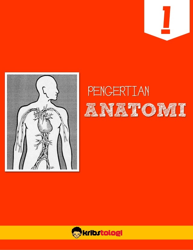 Pengantar anatomi fisiologi manusia