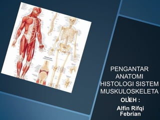 PENGANTAR
    ANATOMI
HISTOLOGI SISTEM
MUSKULOSKELETA
       L
     OLEH :
    Alfin Rifqi
     Febrian
 