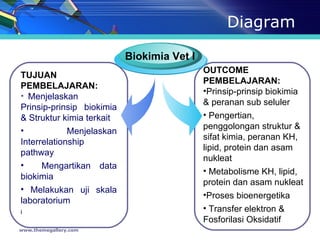 Diagram www.themegallery.com TUJUAN PEMBELAJARAN: Menjelaskan  Prinsip-prinsip biokimia & Struktur kimia terkait Menjelaskan Interrelationship pathway Mengartikan data biokimia Melakukan uji skala laboratorium i Biokimia Vet I   OUTCOME PEMBELAJARAN: Prinsip-prinsip biokimia & peranan sub seluler Pengertian, penggolongan struktur & sifat kimia, peranan KH, lipid, protein dan asam nukleat Metabolisme KH, lipid, protein dan asam nukleat Proses bioenergetika Transfer elektron & Fosforilasi Oksidatif 
