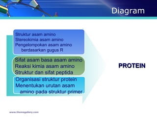 Diagram www.themegallery.com Struktur asam amino Stereokimia asam amino Pengelompokan asam amino  berdasarkan gugus R Sifat asam basa asam amino Reaksi kimia asam amino Struktur dan sifat peptida Organisasi struktur protein Menentukan urutan asam  amino pada struktur primer PROTEIN 