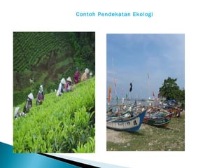 Contoh Pendekatan Ekologi

 