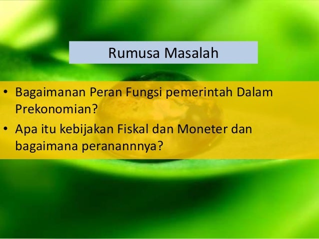 Kebijakan Pemerintah Dalam Prekonomian