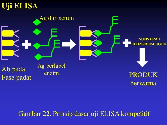 Pengantar imunoasai Pengantar imunoasai