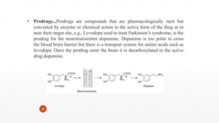 • Prodrugs...Prodrugs are compounds that are pharmacologically inert but
converted by enzyme or chemical action to the active form of the drug at or
near their target site, e.g., Levodopa used to treat Parkinson’s syndrome, is the
prodrug for the neurotransmitter dopamine. Dopamine is too polar to cross
the blood brain barrier but there is a transport system for amino acids such as
levodopa. Once the prodrug enter the brain it is decarboxylated to the active
drug dopamine.
46
 