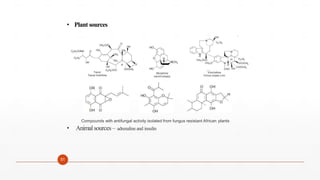 • Plant sources
Taxol
Taxus breifolia
Vincirstine
Vinca rosea Linn
Morphine
opium poppy
Compounds with antifungal activity isolated from fungus resistant African plants
• Animalsources– adrenalineand insulin
51
 