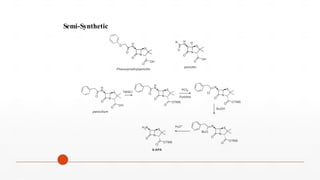 N
S
O
OH
H
N
O
O
O
Phenoxymethylpenicillin
N
S
OH
H
N
O
O
R H
O
penicillin
H
S
H
N S
N
Semi-Synthetic
N
S
O
OH
N
O
O
TMSCl
N
O
O
O
PCl5
Pyridine
OTMS
N
OTMS
O
Cl
O
BuOH
N
S
O
OTMS
N
O
BuO
N
S
OTMS
2
H N
O
H3O+
O
6-APA
penicillium
 