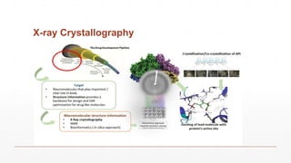 X-ray Crystallography
 
