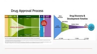 Drug Approval Process
 