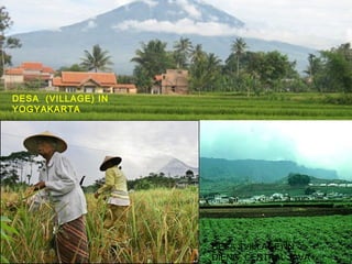 DESA (VILLAGE) IN
YOGYAKARTA




                    DESA (VILLAGE) IN     7
                    DIENG, CENTRAL JAVA
 