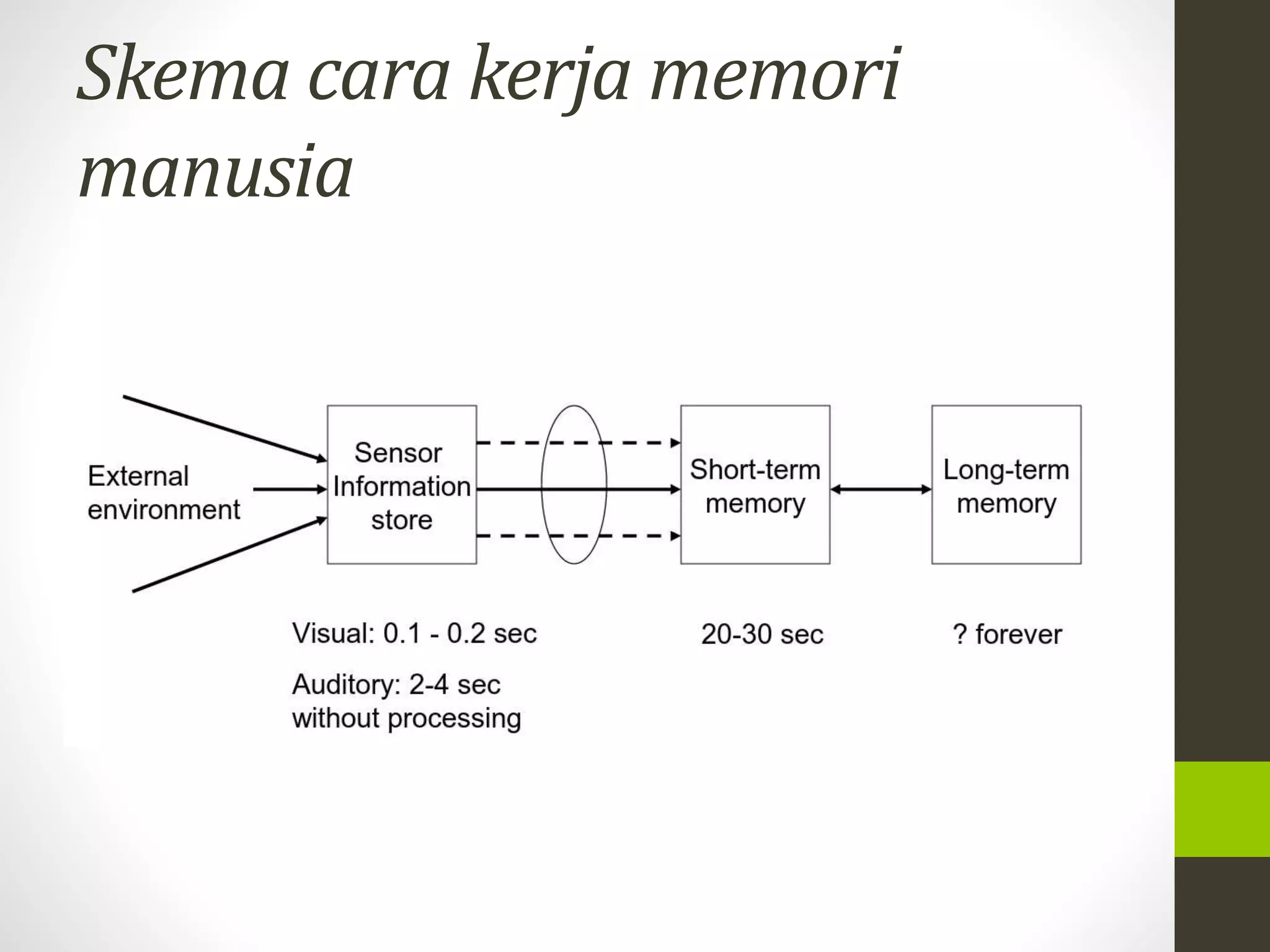 Skema cara kerjamemori 
manusia 
 