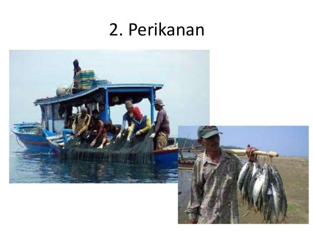 Pengaruh iklim dan ekonomi