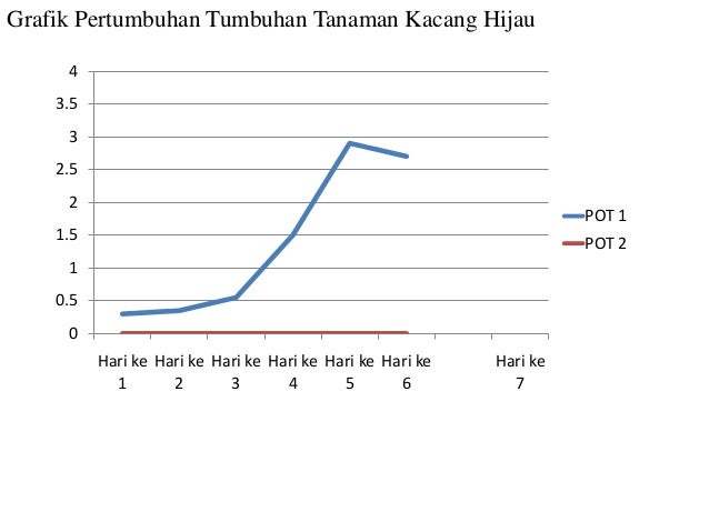 Pengaruh intensitas cahaya matahari terhadap tumbuhan