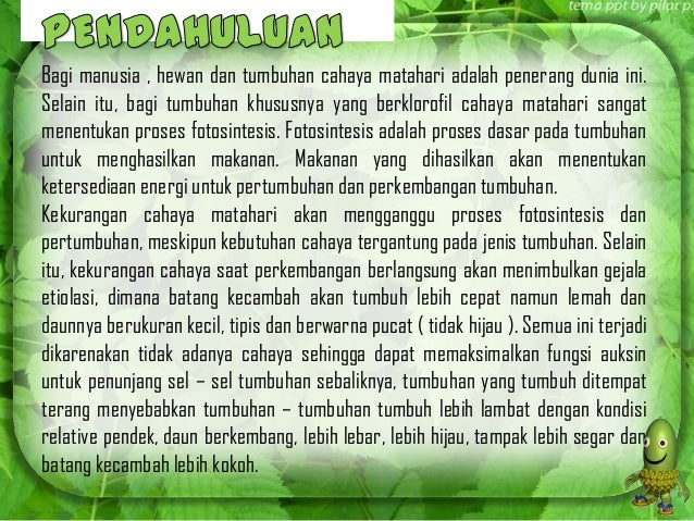 Landasan Teori Pengaruh Intensitas Cahaya Terhadap