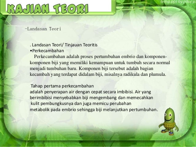 Pengaruh intensitas cahaya terhadap pertumbuhan kacang merah