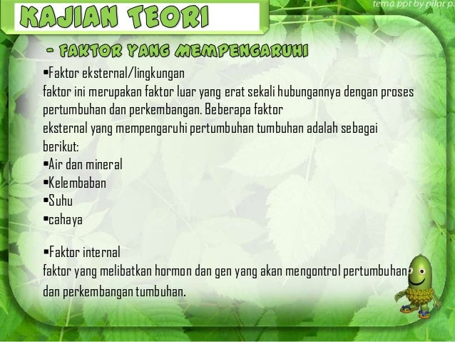Pengaruh intensitas cahaya terhadap pertumbuhan kacang merah