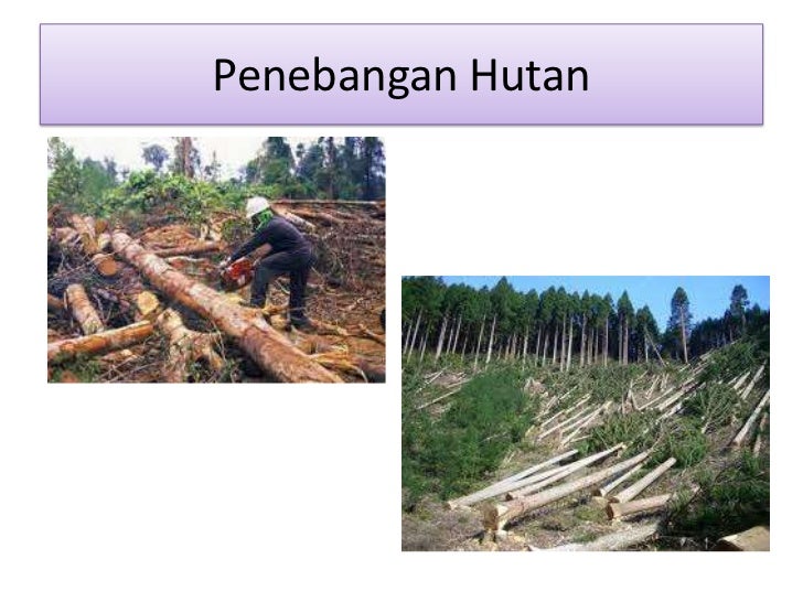 Pengaruh manusia terhadap cuaca dan iklim