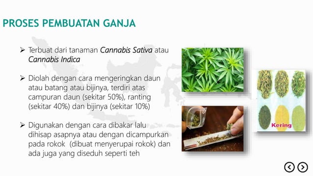 Hilangnya Nilai-Nilai Luhur Akibat Pengaruh Narkoba