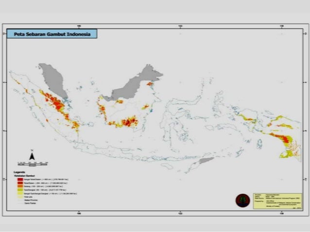 Pengelolaan gambut mangrove