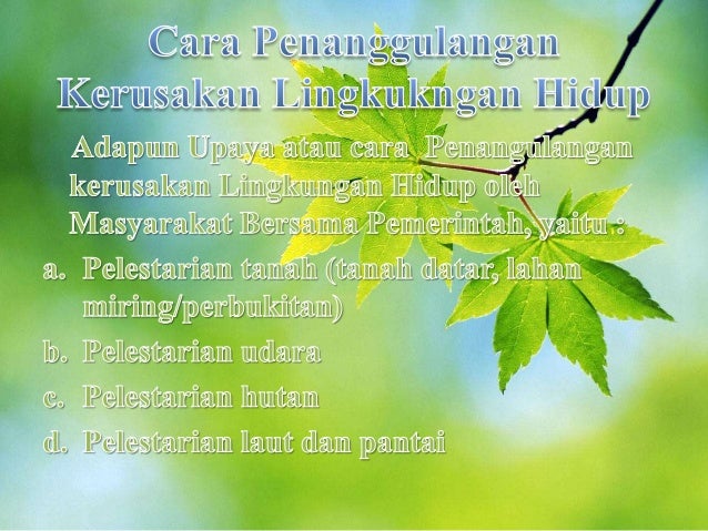 Potret Keberlanjutan: Menuju Desa Tenjolayar yang Lestari