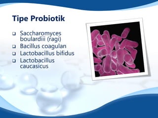 Tipe Probiotik
 Saccharomyces
boulardiii (ragi)
 Bacillus coagulan
 Lactobacillus bifidus
 Lactobacillus
caucasicus
 