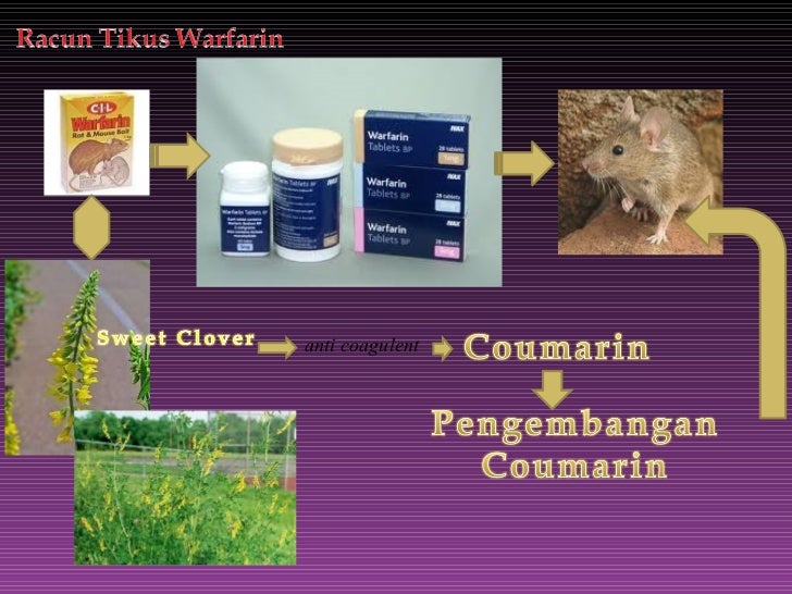 Pengembangan Inovasi