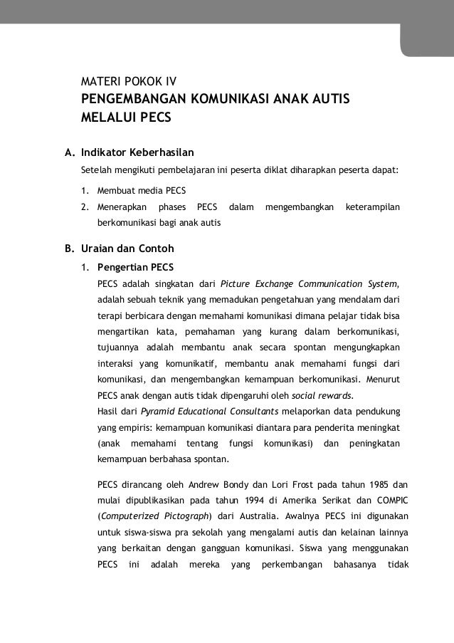 Pengembangan interaksi sosial dan komunikasi anak autis