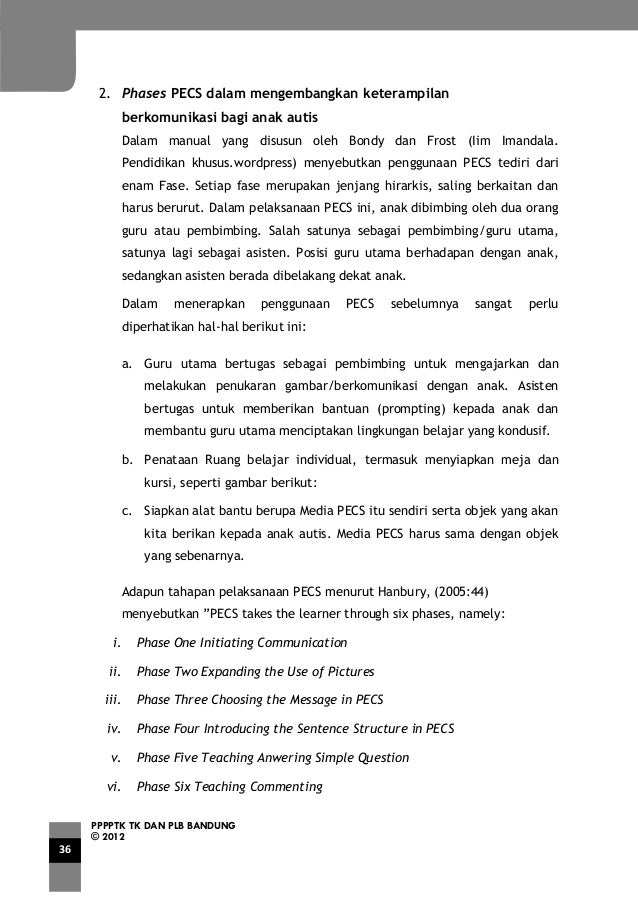 Pengembangan interaksi sosial dan komunikasi anak autis