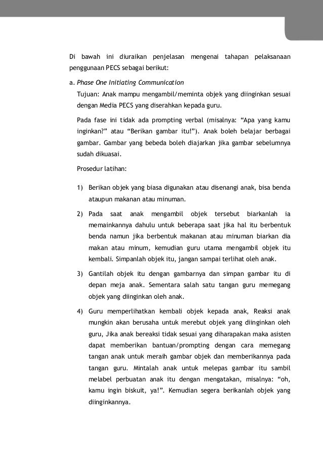 Pengembangan interaksi sosial dan komunikasi anak  autis 