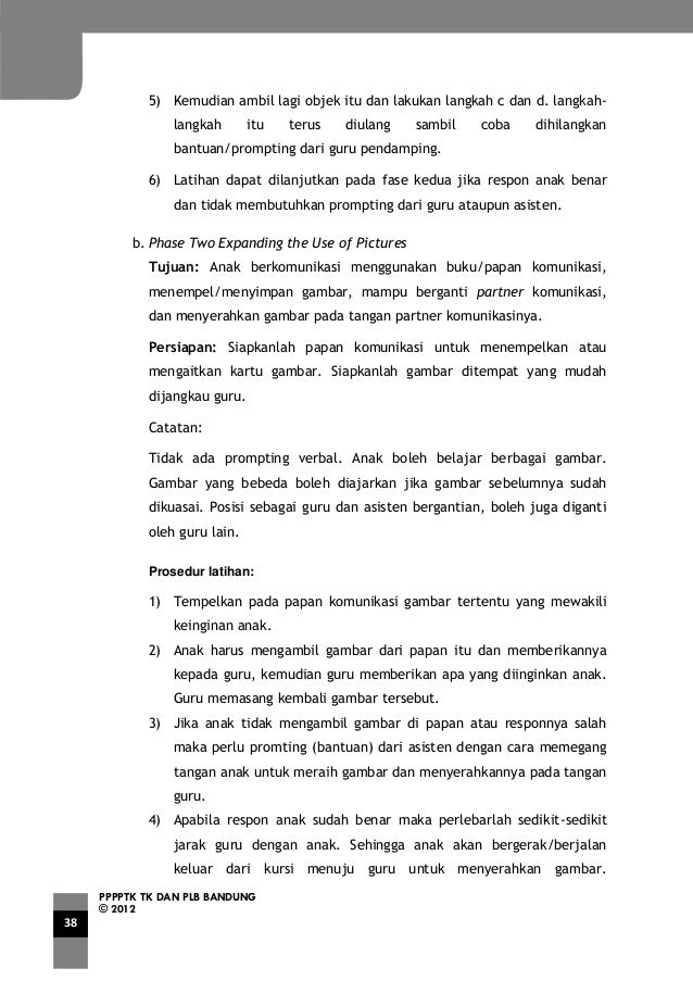Pengembangan interaksi sosial dan komunikasi anak  autis 