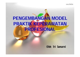 PENGEMBANGAN MODEL
PRAKTIK KEPERAWATAN
PROFESIONAL

Oleh: Tri Sumarni

 