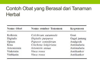 Contoh Obat yang Berasal dari Tanaman 
Herbal 
 