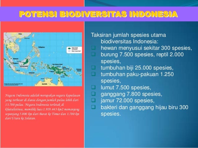 Pengembangan potensi lokal di jaman otonomi daerah Pengembangan potensi lokal di jaman otonomi daerah
