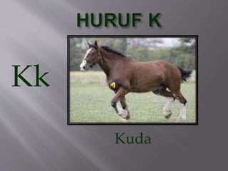 Kk
Kuda
 