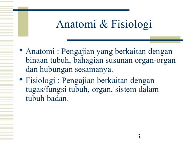 Pengenalan Anatomi Dan Fisiologi