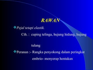RAWAN
Pejal tetapi elastik.
Cth. : cuping telinga, hujung hidung, hujung
tulang
Peranan :- Rangka penyokong dalam peringkat
embrio- menyerap hentakan
 