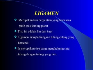 LIGAMEN
 Merupakan tisu bergentian yang berwarna
putih atau kuning pucat
 Tisu ini adalah liat dan kuat
 Ligamen menghubungkan tulang-tulang yang
bersendi
 Ia merupakan tisu yang menghubung satu
tulang dengan tulang yang lain
 