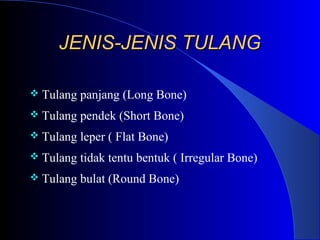 JENIS-JENIS TULANGJENIS-JENIS TULANG
 Tulang panjang (Long Bone)
 Tulang pendek (Short Bone)
 Tulang leper ( Flat Bone)
 Tulang tidak tentu bentuk ( Irregular Bone)
 Tulang bulat (Round Bone)
 