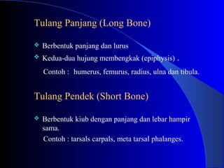 Tulang Panjang (Long Bone)
 Berbentuk panjang dan lurus
 Kedua-dua hujung membengkak (epiphysis) .
Contoh : humerus, femurus, radius, ulna dan tibula.
Tulang Pendek (Short Bone)
 Berbentuk kiub dengan panjang dan lebar hampir
sama.
Contoh : tarsals carpals, meta tarsal phalanges.
 