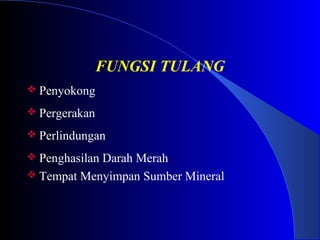 FUNGSI TULANG
 Penyokong
 Pergerakan
 Perlindungan
 Penghasilan Darah Merah
 Tempat Menyimpan Sumber Mineral
 