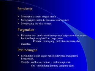 Penyokong
 Membentuk sistem rangka tubuh
 Memberi perlekatan kepada otot dan ligamen
 Menyokong tisu-tisu lembut
Pergerakan
 Pelekatan otot untuk membantu proses pergerakan dan proses
kontrasi bagi menghasilkan pergerakan
Contoh : memegang, melentur, menarik, dan
menolak.
Perlindungan
 Melindungi organ-organ penting daripada mengalami
kecederaan.
Contoh : skull atau cranium – melindungi otak.
ribs – melindungi jantung dan paru-paru.
 